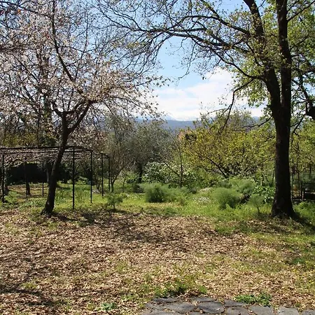 山林小屋 Nature Relax-home