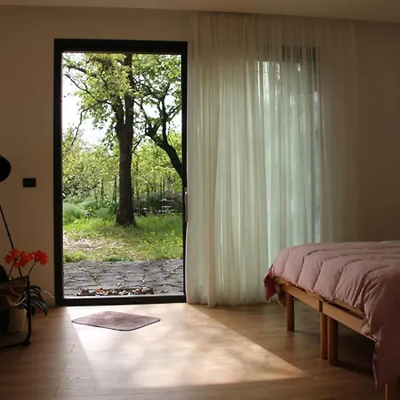Nature Relax-home *
